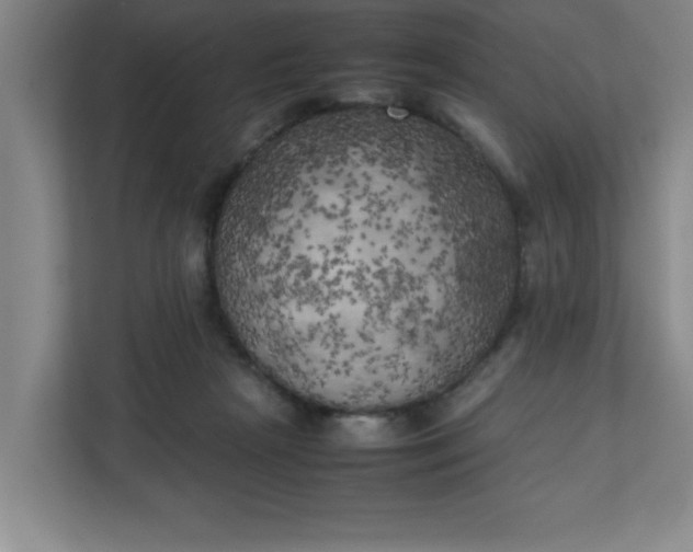 X0000111150265200907071115