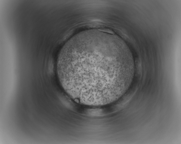 X0000111150266200907071115