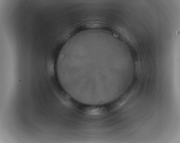 X0000111150267200907071115