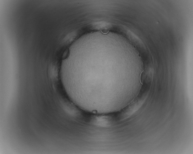 X0000111150268200907071115