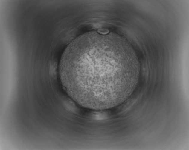 X0000111150275200907071115