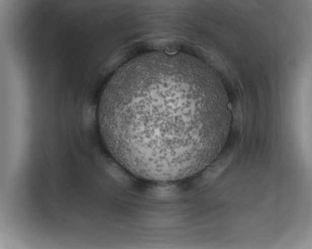 X0000111150278200907071115