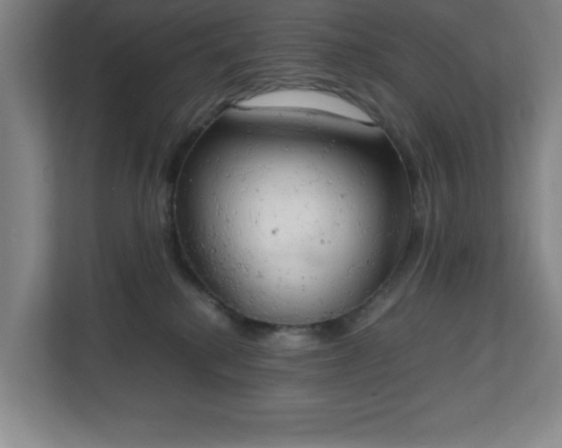 X0000111150280200907071115
