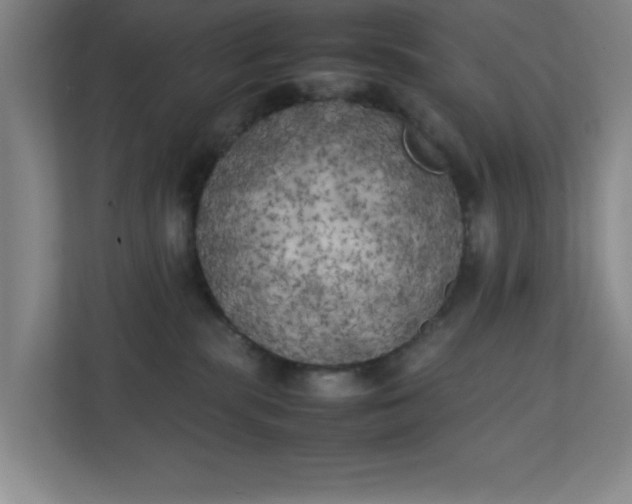 X0000111150283200907071115