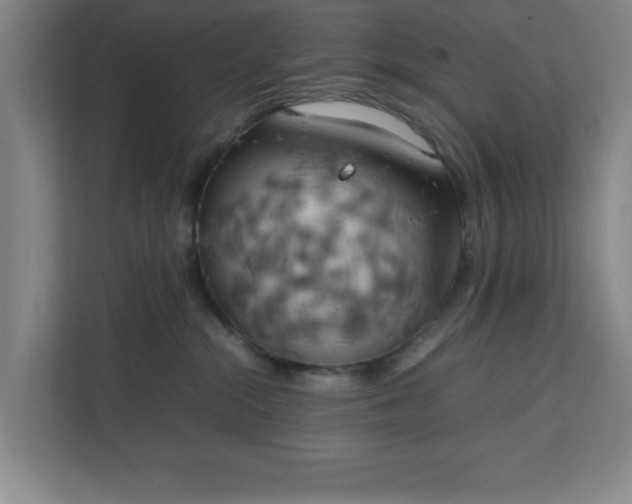 X0000111150284200907071115