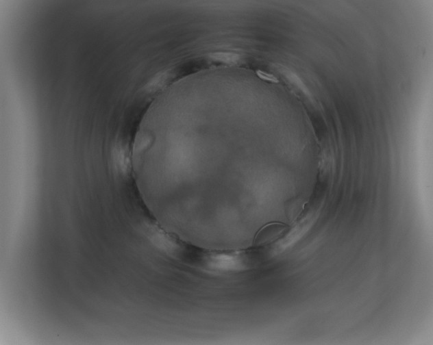 X0000111150285200907071115