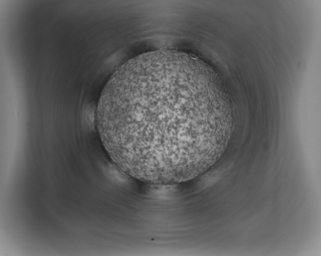 X0000111150288200907071115