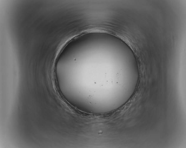 X0000111150289200907071114