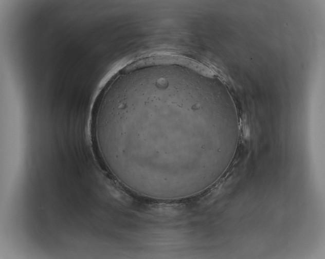 X0000111150292200907071114