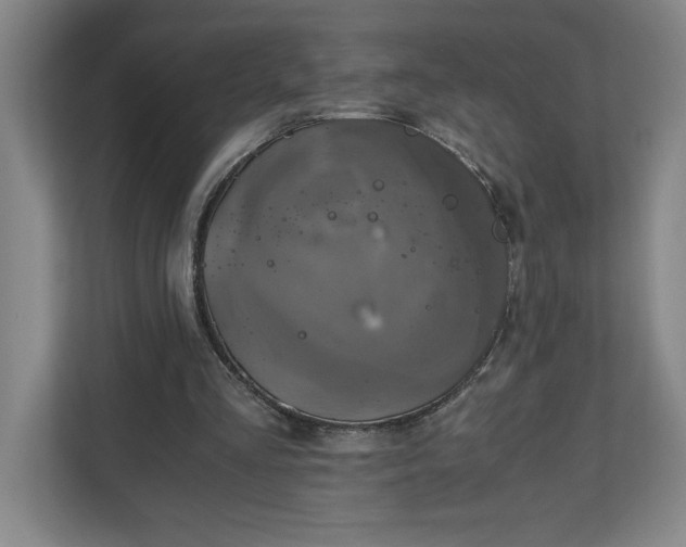 X0000111150293200907071114