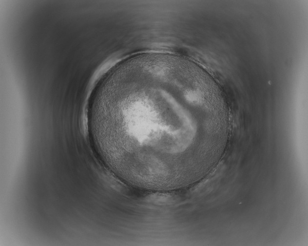 X0000111150294200907071114