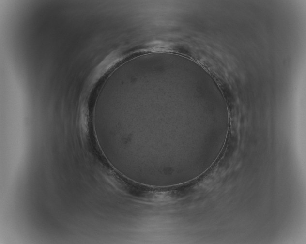 X0000111150295200907071114