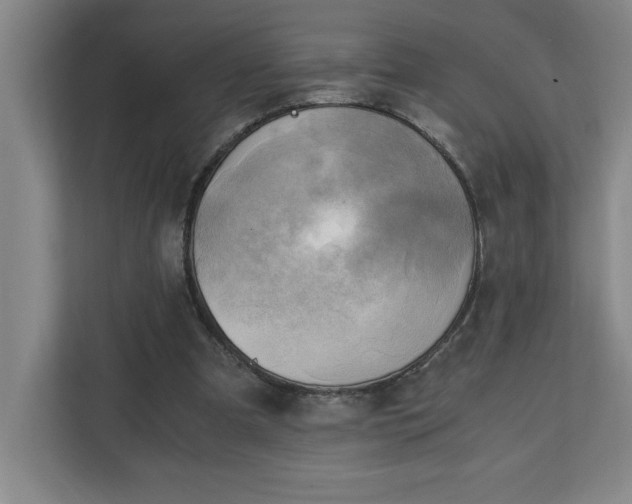 X0000111150297200907071114