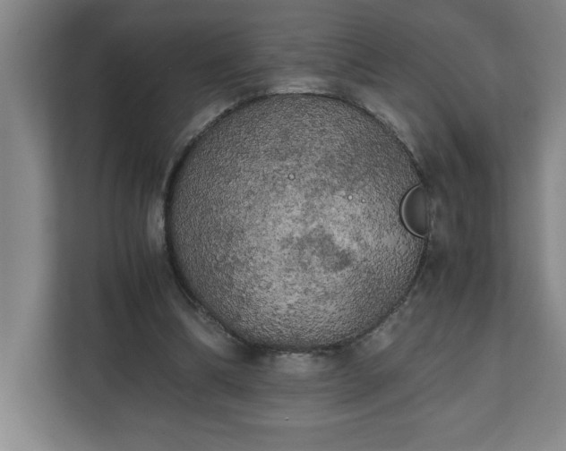 X0000111150298200907071114