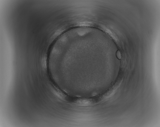X0000111150299200907071114