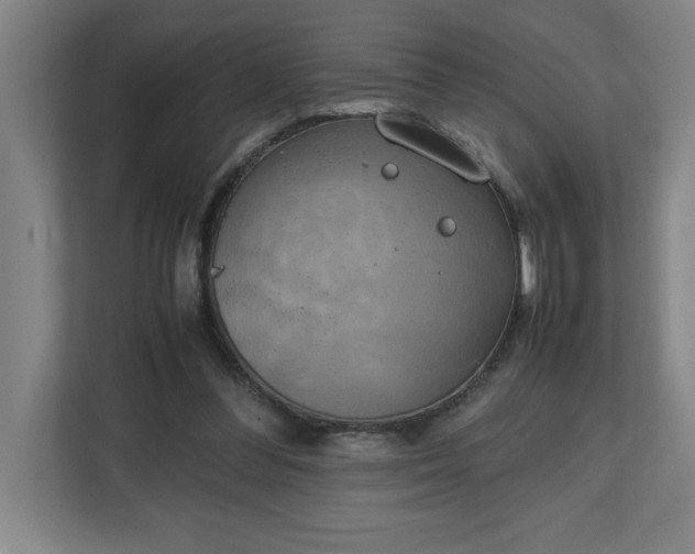 X0000111150300200907071114