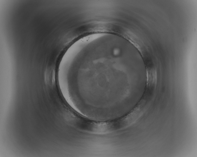 X0000111150301200907071114