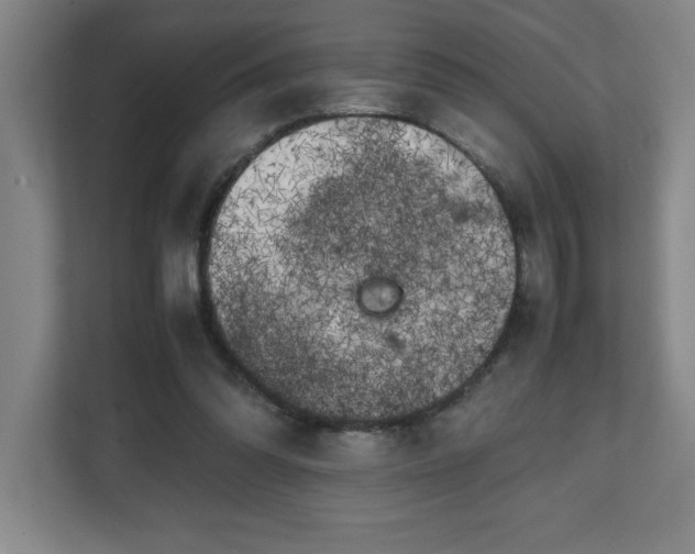 X0000111150302200907071114