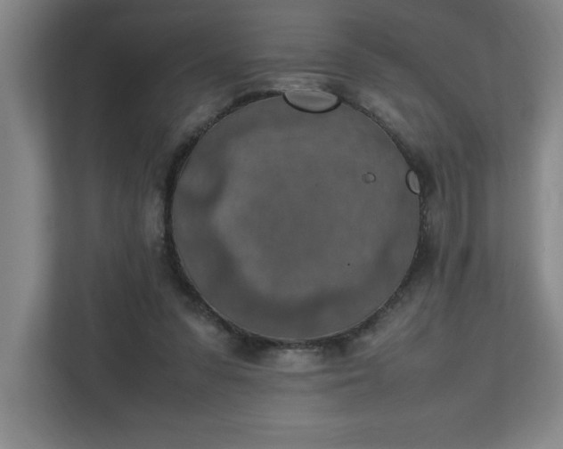 X0000111150303200907071114
