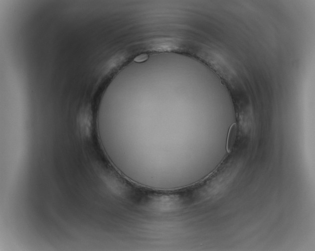 X0000111150304200907071114