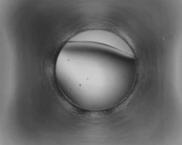 X0000111150305200907071114