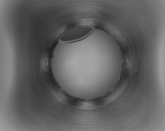 X0000111150308200907071114