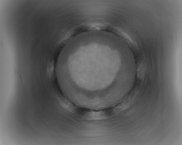 X0000111150314200907071114