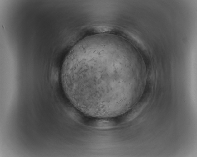 X0000111150315200907071114