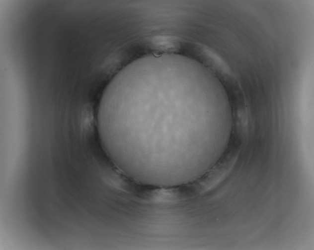 X0000111150320200907071114