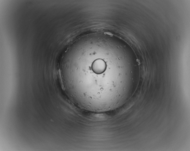 X0000111150324200907071114