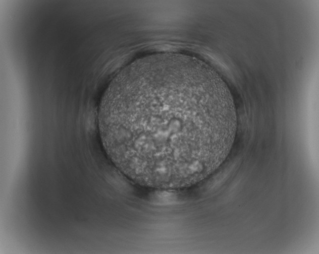X0000111150325200907071114