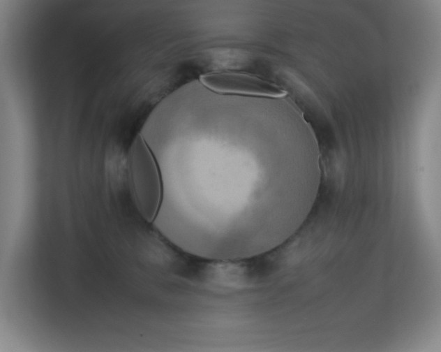 X0000111150327200907071114