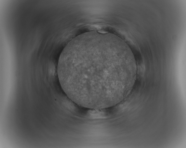 X0000111150331200907071114