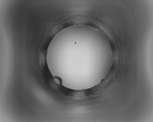 X0000111150333200907071114
