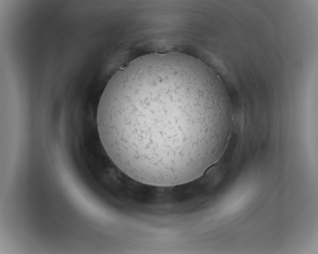 X0000111150335200907071114