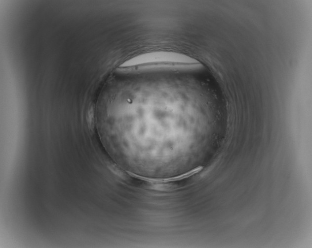 X0000111150336200907071114