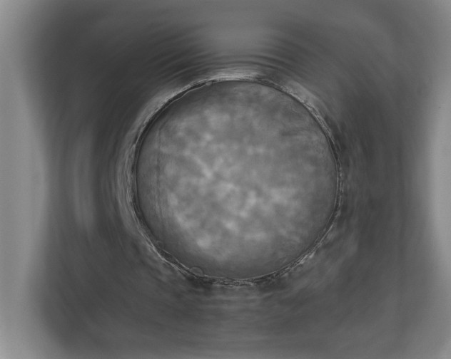 X0000111150337200907071113
