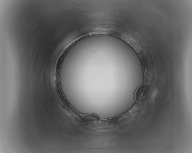 X0000111150338200907071113