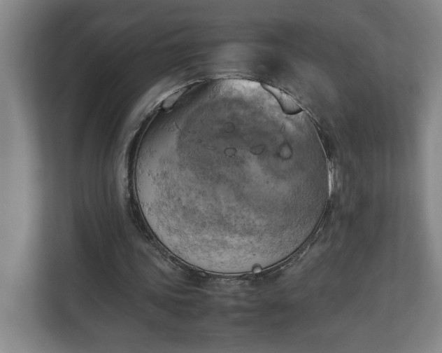 X0000111150339200907071113