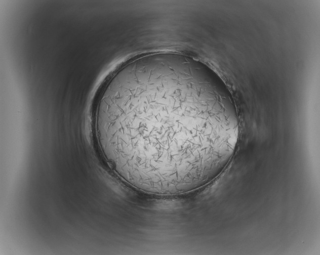 X0000111150342200907071113