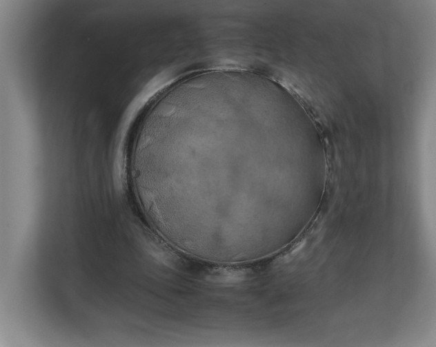 X0000111150343200907071113