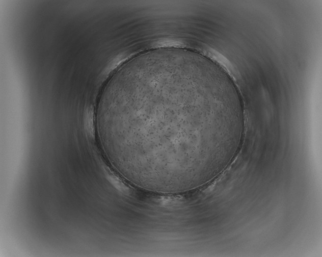 X0000111150345200907071113