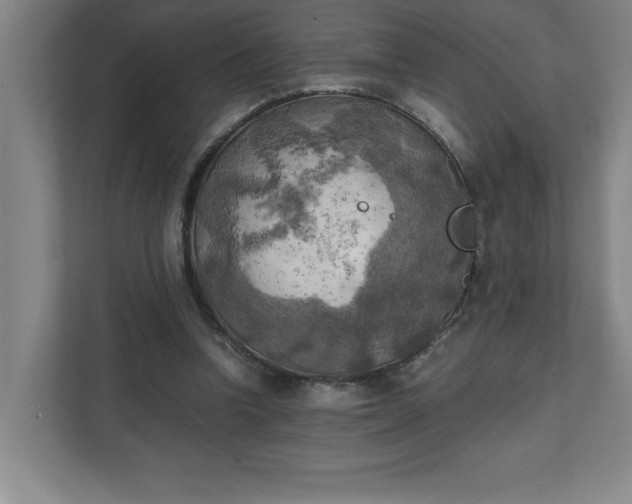 X0000111150346200907071113