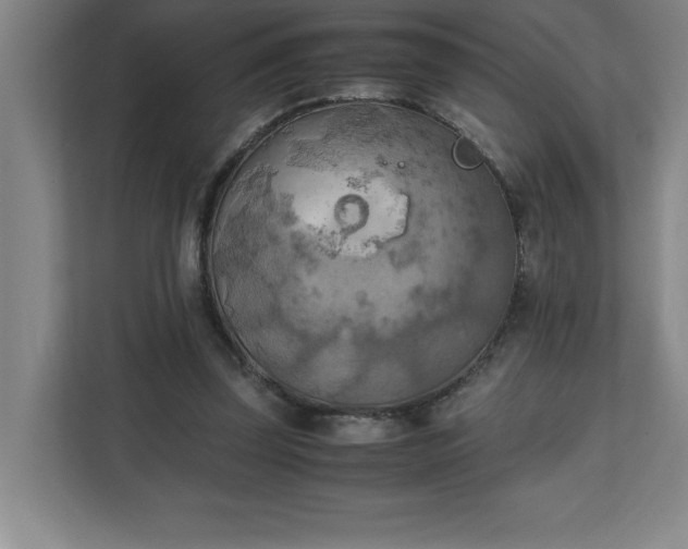 X0000111150347200907071113