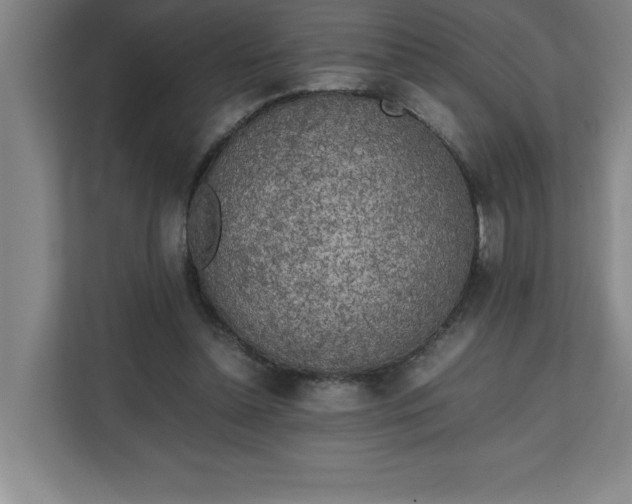X0000111150348200907071113