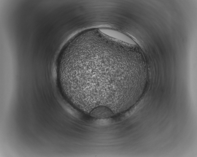 X0000111150350200907071113
