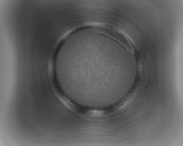 X0000111150352200907071113