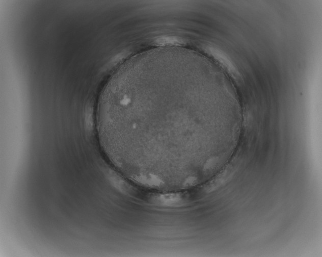 X0000111150353200907071113