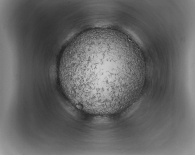 X0000111150354200907071113