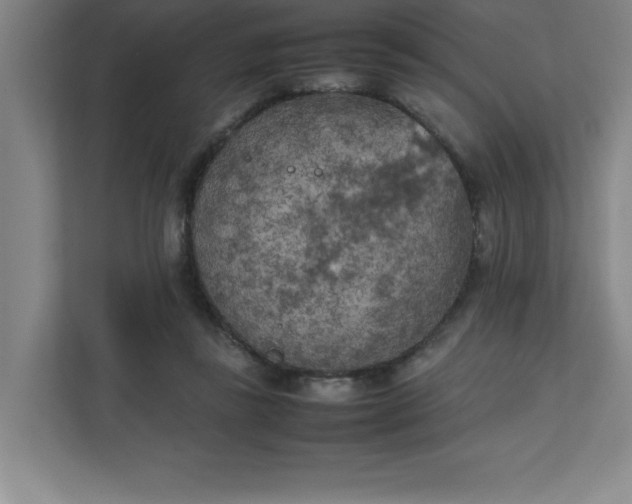 X0000111150355200907071113
